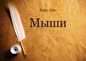 Тълкуване на сънища мечта мишка, която означава и това, което една мечта (мечта тълкуване на сън мишка плъх малък сив летлив мечта много сън мъртва мишка мъртъв къща) Тълкуване на сънища мечта мишка, която означава и това, което сънища