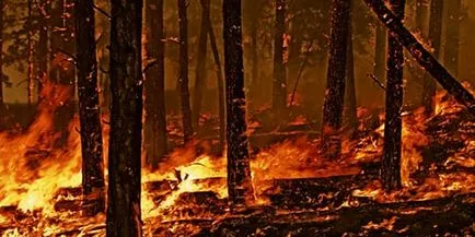 Тълкуване на сънища огън в огъня, така че сън в съня
