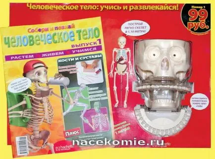 Събиране и знам човешкото тяло (скелет монтаж) - всички подробности - събиране DeAgostini