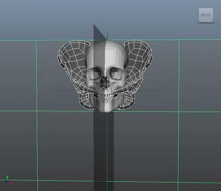 Поставянето 3d човешки скелет - творческа работилница Igorya Petunina