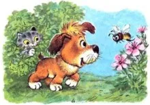 Средната продължителност на живота на кучетата - кучето 101