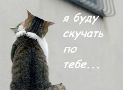 Стихове мъж с думите - много ми липсва!