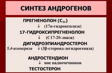 Стероидни хормони - какво е това