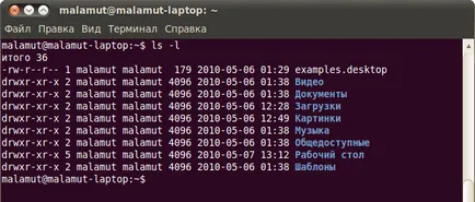 Терминалът, документация по руски език за Ubuntu (достатъчно лесно) Терминалът, документация по руски език за Ubuntu