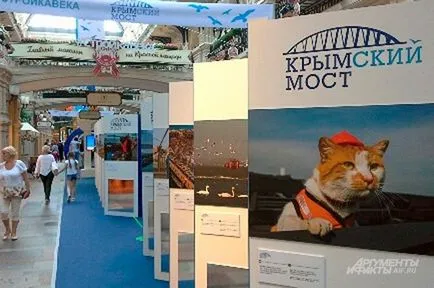 Теракота чудо 