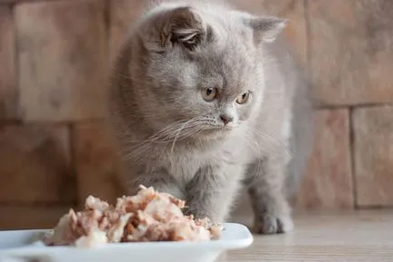 тегло Таблица коте от месец