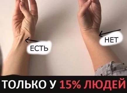 Само 15% от хората, тези ръце