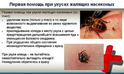 Стинг - за подуване и зачервяване на какво да правят и как да се отнасяме
