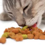 Хилс за котки Хилс за котки