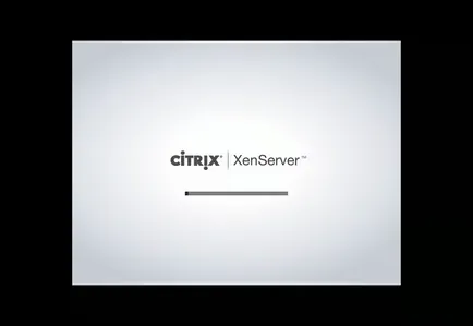 Инсталиране XenServer 7, losst