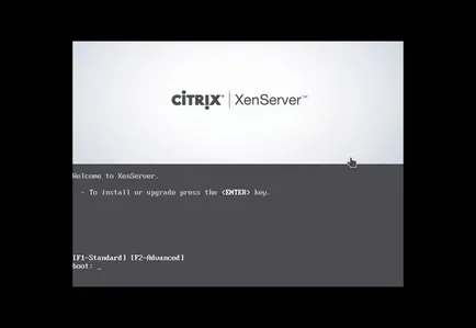 Инсталиране XenServer 7, losst