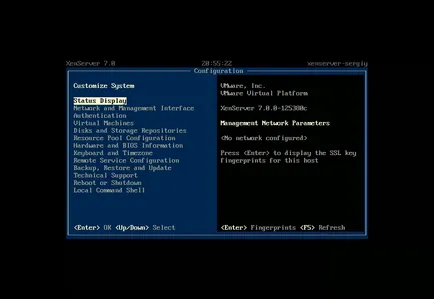 Инсталиране XenServer 7, losst