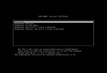 Инсталиране XenServer 7, losst