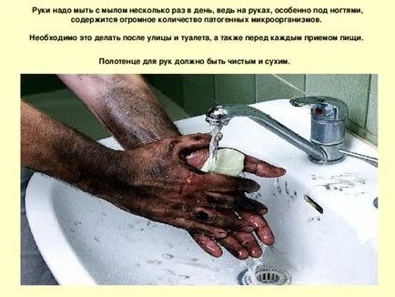 Грижи за кожата - биология, представяне (презентация) Грижи за кожата - биология, презентации