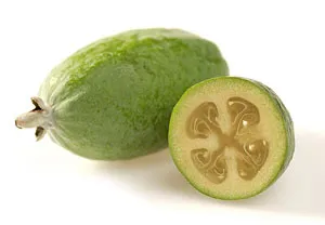 Отглеждане Feijoa в дома, разпространението на семена и резници от Feijoa