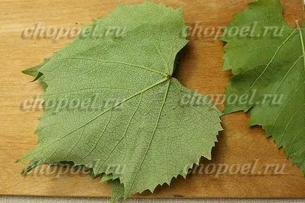 Лозови листа през зимата - два начина предварителната форма