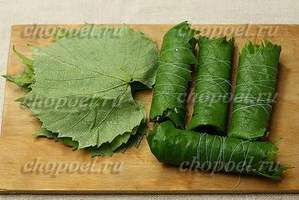 Лозови листа през зимата - два начина предварителната форма