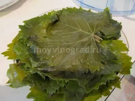 Лозови листа в продължение на 5 Долма методи за подготовка и готвене