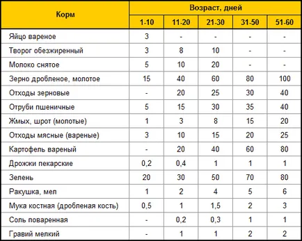Отглеждане на патета
