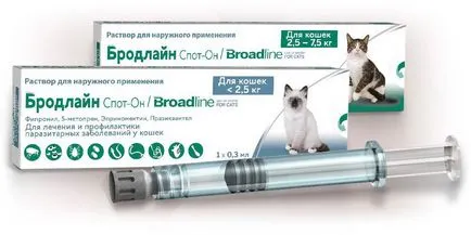 Въшките при котки - лечение, симптоми и как да се кове в котки (симптоми) Въшките при котки - лечение, симптоми и как да се кове при котките