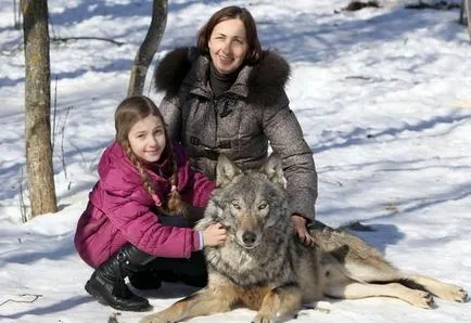 Wolf - това не е куче