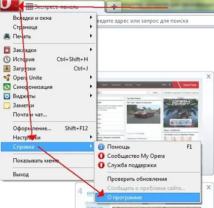 Временни Интернет файлове, в които те са