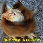 Аз все още губи тегло! Намерих един сайт, където можете да видите как щете