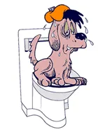 Запек при кучета 🐶 какво да прави и как да се лекува у дома