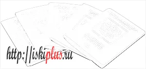 Паспорт, как да се получи паспорт