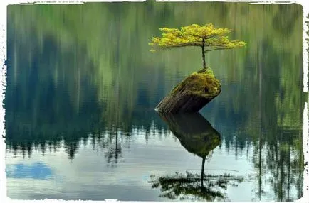 На живо от Zen тайна на Източна училището на мъдростта щастие