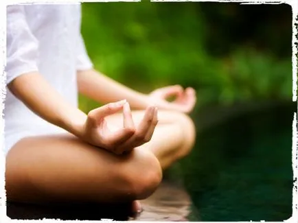 На живо от Zen тайна на Източна училището на мъдростта щастие
