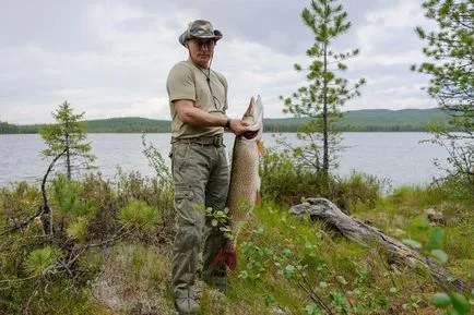 20 Най-впечатляващото снимки на Путин с животни, по-свежа - най-доброто от деня, в който някога ще се нуждаете!