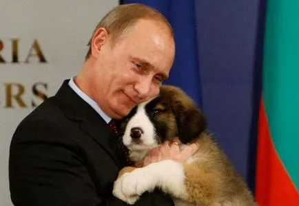 20 Най-впечатляващото снимки на Путин с животни, по-свежа - най-доброто от деня, в който някога ще се нуждаете!