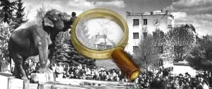 Прага зоопарк - как да стигнем до там, работно време, цени на билетите