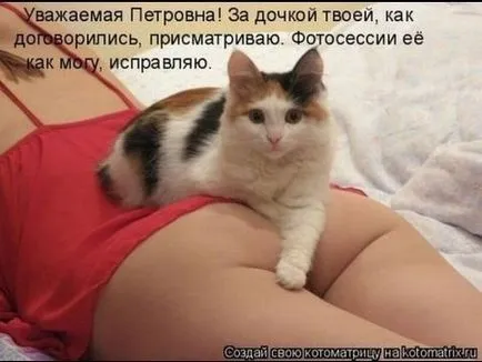 Смешни снимки за животни котки (65 снимки) - смешни картинки и хумор