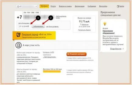 Архивни тарифи и опции Beeline функции, условия на климата