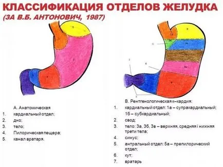 Кухина, където, катедри, диагностика