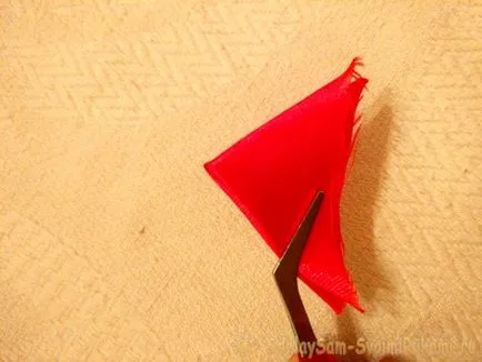Butterfly на касетите, майсторски клас с ръцете си (им) Butterfly на касетите, майсторски клас със собствените си ръце