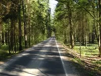 Беловежката гора - как да стигнем до там, екскурзии, музей на природата, животните, хотели, време (Forest) Беловежката гора - как да стигнем до там, екскурзии, музей на природата, животни, хотели, работно време