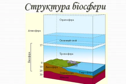 Биосферата като глобална екосистема, която е защо тя се нарича