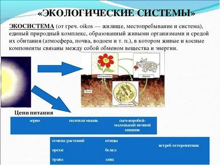 Биосферата като глобална екосистема, която е защо тя се нарича