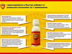 Бълхи в апартамента признаци на появата на ефективни начини да убие бълхи в къщата и за котки и