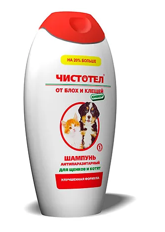 Бълхите при котките, тъй като те гледат на снимките и как да се справят с тях (поглед) Бълхите при котките, тъй като те гледат на снимките и как да ги бият