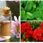 Се страхува молец и ларви