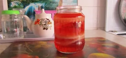 Kombucha как да расте от нулата се като у дома