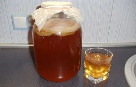 Kombucha как да расте от нулата се като у дома