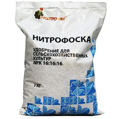 На изцапване картофи на засаждане в отвора