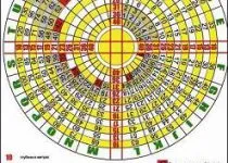 Каква е гмуркане и какви видове гмуркане там