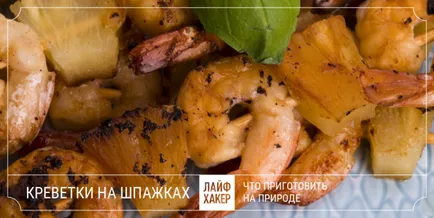 Какво да се готви на открито, с изключение на шишчета