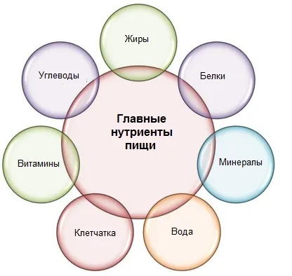Какви са хранителни вещества, които са полезни хранителни вещества, отколкото хранителни вещества